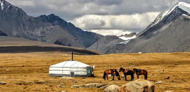 Особенности поведения и жестикуляции Монголия